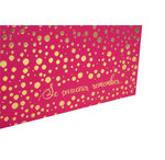Album Photo Livre 30 Pages Blanches - Framboise - Exacompta
