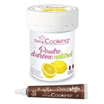 Arôme alimentaire naturel en poudre citron + Stylo chocolat