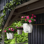 LECHUZA Jardinière suspendue NIDO Cottage 28 ALL-IN-ONE Blanc