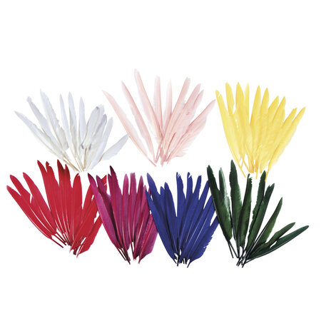 Plumes d'indien Assortiment de couleurs 75 pièces