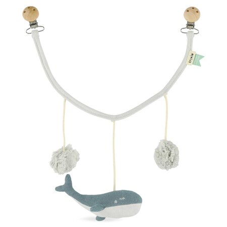 Chaine d actives - Baleine