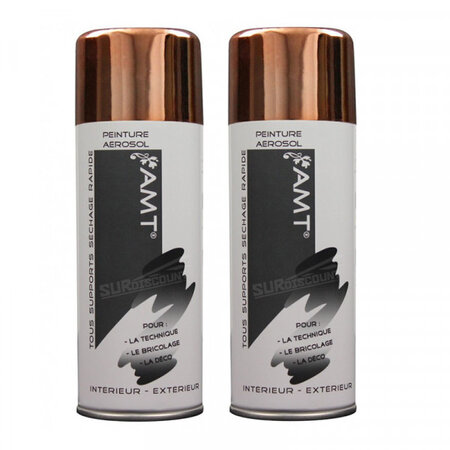 Lot de 2 bombes de peinture - bronze - amt