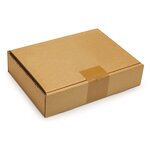 Boîte extra-plate d’expédition carton brune 31x22x5 cm (lot de 50)