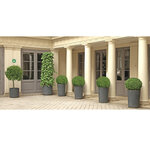 Panneau Adhésif Point De Rassemblement 20x20 Cm - Vert - Exacompta