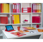 Boite Transfert Dos 90mm Iderama - Couleurs Assorties - X 5 - Exacompta