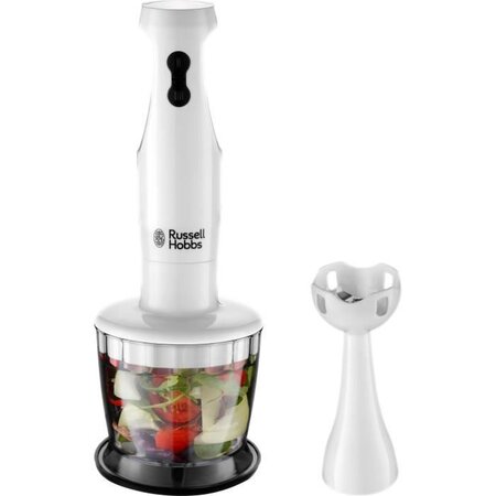 RUSSEL HOBBS 24600-56 Mixeur et Hachoir 2en1 My Home 250W 2 Vitesses Pied Mixeur Détachable Bol Hachoir 05L