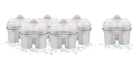 Lot de 6 Cartouches filtrantes Longlife blanc BWT