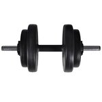 Kit de barre d'haltère et 2 haltères 605kg