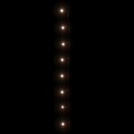 vidaXL Guirlande LED avec 300 LED Blanc chaud 30 m PVC