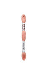 Fil Retors DMC Col. 2758 Canevas et tapisserie