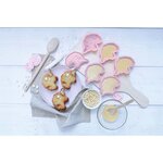 6 moules en silicone licorne