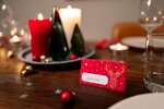 Lot de 12 marque-places de Noël traditionnels renne