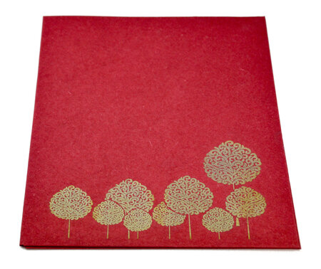 PAPERTREE ARANIA Lot de 5 Pochettes (A4) Rouge
