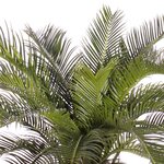 Palmier artificiel cycas h 70 cm 22 feuilles en pot