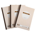 Lot De 3 Manifolds Factures - Papier Autocopiant - Duplicata (1 Original Et 1 Copie) - 50 Feuilles - Format 21 X 14 8 Cm - Couverture Vernie - X 18 - Le Dauphin