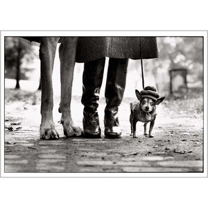 Usa New York 1974 Felix Gladys And Rover - Draeger paris