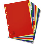 Intercalaires Imprimés Mensuel Pp Couleurs 12/100e - 12 Positions - A4+ - Assorties Vives - X 20 - Exacompta