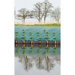 Nature Bâche de sol de contrôle des mauvaises herbes 3 3x5 m Vert