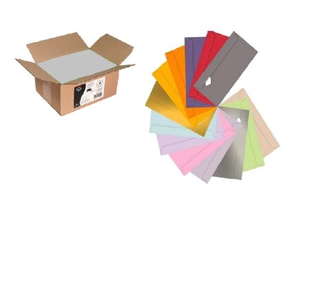 Enveloppe argent 110x220 - Lot de 500