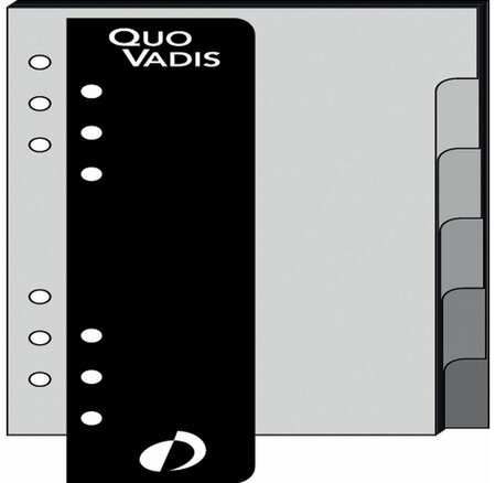 Recharge Accessoires Organiseur INTERCALAIRE+REGLE Timer 14 8 x 12 cm QUOVADIS