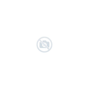 Moteur pour broche de rôtissoire - feca -  -