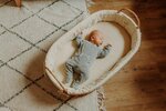 Couffin palm Moses Basket