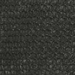 vidaXL Voile d'ombrage 160 g/m² Anthracite 3x4x5 m PEHD