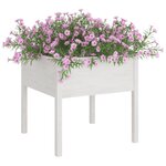 vidaXL Jardinières 2 Pièces Blanc 70x70x70 cm Bois de pin massif