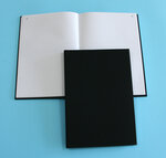 Registre journal numéroté 297 x 210 300 pages Noir ELVE
