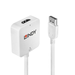 Lindy convertisseur hdmi vers displayport 4k