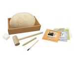 Mega Dino oeuf kit de fouille