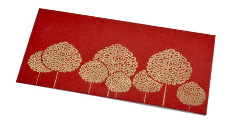 PAPERTREE ARANIA Lot de 5 Enveloppes cadeau 19x10cm - Rouge/Or