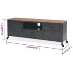 vidaXL Meuble TV 120 x 30 x 43 cm Noir