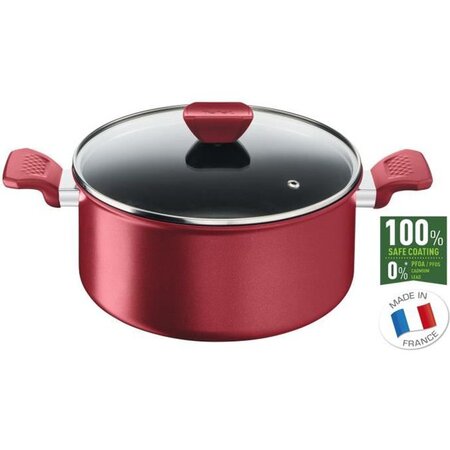 TEFAL DAILY CHEF Faitout 24cm, Induction, Résistante, Antiadhésive, Facile a nettoyer, Sain, Fabriqué en France
