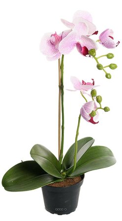 Orchidee artificielle 2 hampes en pot h 40 cm touché réel rose-crème - couleur: rose-crème