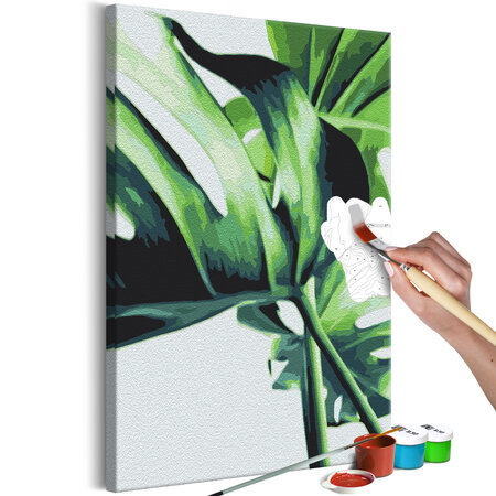 Tableau à peindre par soi-même - monstera adansonii l x h en cm 40x60