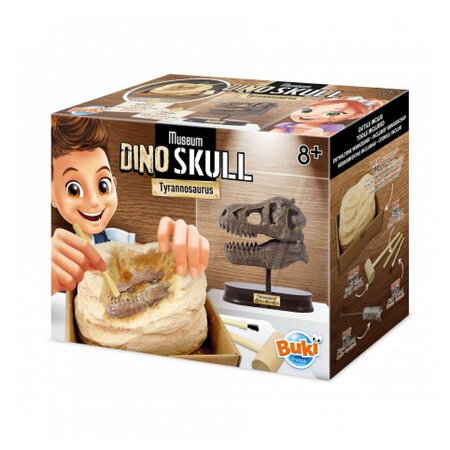 Museum Dino skull Crane de T Rex