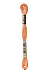 Fil Mouliné DMC Gold Concept 8M Col. 3825 Broderie et Point de Croix