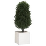 vidaXL Jardinière Blanc 60x60x60 cm Bois de pin massif