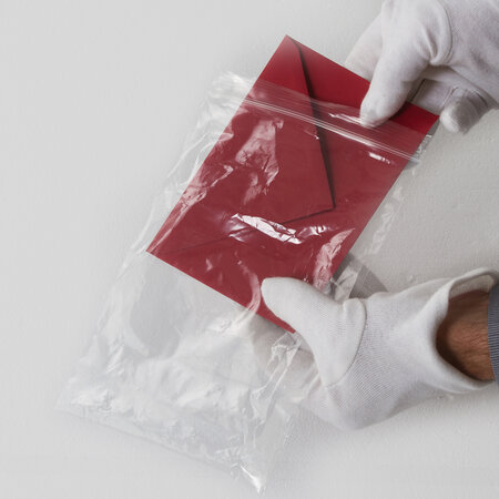 Lot de 100 sachets plastiques à fermeture zip 150x220mm standard 50µ