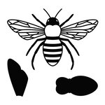Matrice De Découpe Abeille - 4 3X4 6 Cm