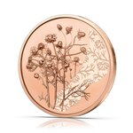 Pièce de monnaie 10 euro Autriche 2023 – Camomille