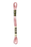 Fil Mouliné DMC Gold Concept 8M Col. 3716 Broderie et Point de Croix
