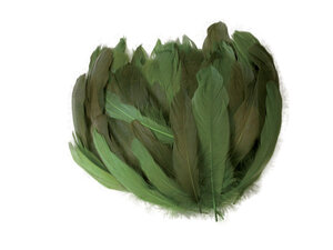 Plumes nageoire d'oie dégradé vert 20g