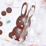 Moule 3D Choco Lapin