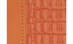 Agenda semainier Eurotime 22 Spiralé Baby Croco 18,5x22,5 cm Coloris Aléatoire EXACOMPTA