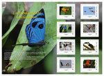 Collector 8 timbres - La biodiversité en Guyane - Lettre Verte