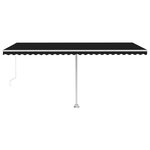 vidaXL Auvent manuel rétractable sur pied 500x300 cm Anthracite