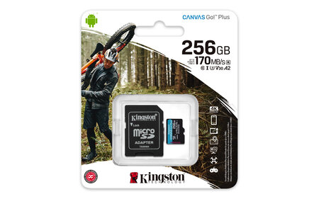 Kingston canvas go! Plus sdcg3/256gb