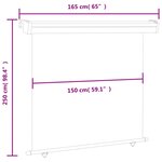 vidaXL Auvent latéral de balcon 160x250 cm Noir